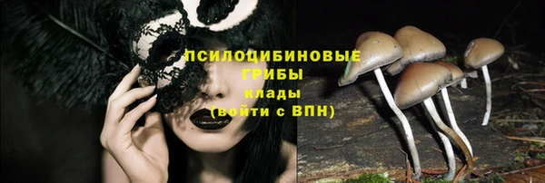 ГАЛЛЮЦИНОГЕННЫЕ ГРИБЫ Навашино