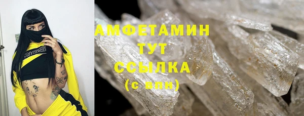 гидра Михайловка