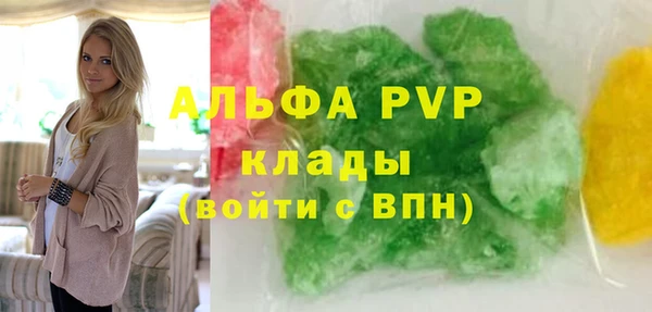 гидра Михайловка