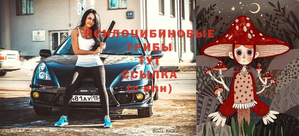 гидра Михайловка