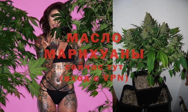 твердый Михайловск