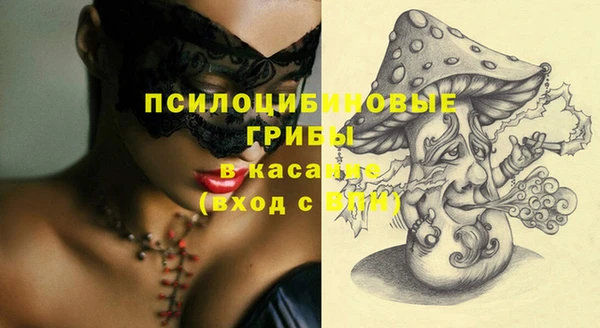 гидра Михайловка